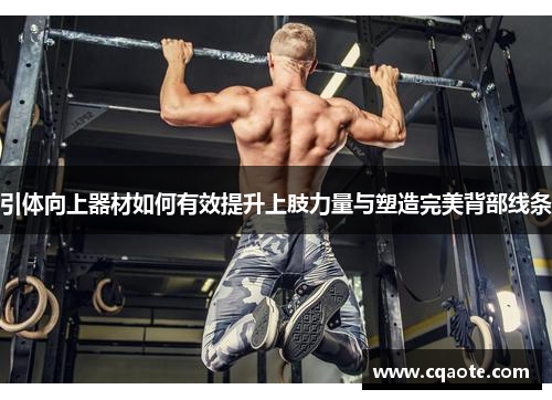 引体向上器材如何有效提升上肢力量与塑造完美背部线条