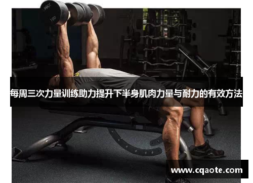 每周三次力量训练助力提升下半身肌肉力量与耐力的有效方法