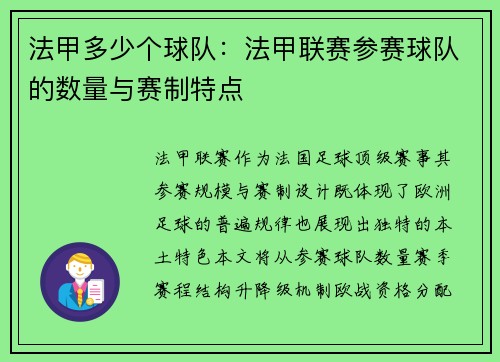 法甲多少个球队：法甲联赛参赛球队的数量与赛制特点