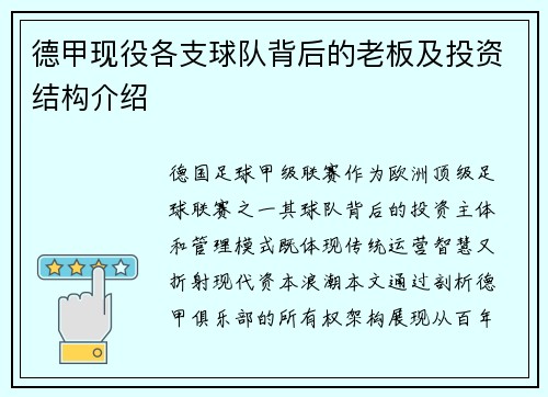 德甲现役各支球队背后的老板及投资结构介绍